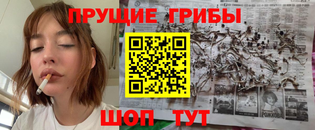 Гурьевск  Галлюциногенные грибы Psilocybe  Псилоцибиновые грибы MAGIC MUSHROOMS  Вход с VPN 