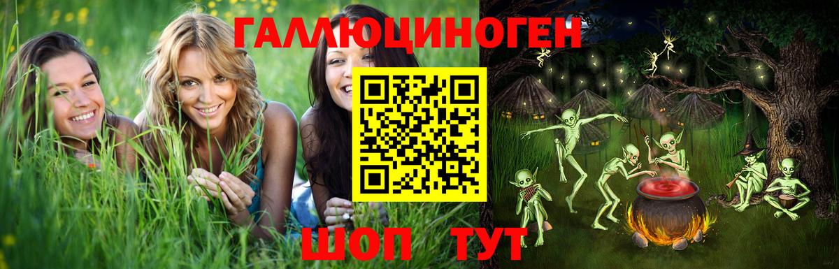Псилоцибиновые грибы ЛСД Гурьевск